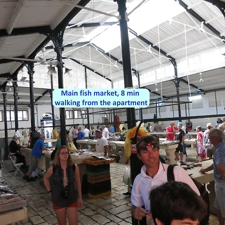 Spacious Neven Near Center, With Two Ac Units * ספליט